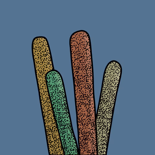 Freebreadsdicks