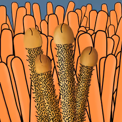 Breadsdicks #2784
