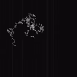 ECHO #4658 — Signal 06