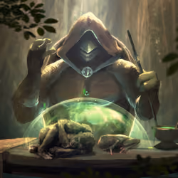 Shelter of the Apes and Frogs