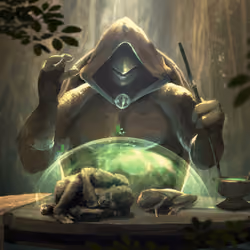 Shelter of the Apes and Frogs