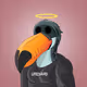 Tired Toucan Club #2067