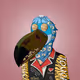 Tired Toucan Club #2068
