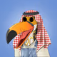 Tired Toucan Club #0443