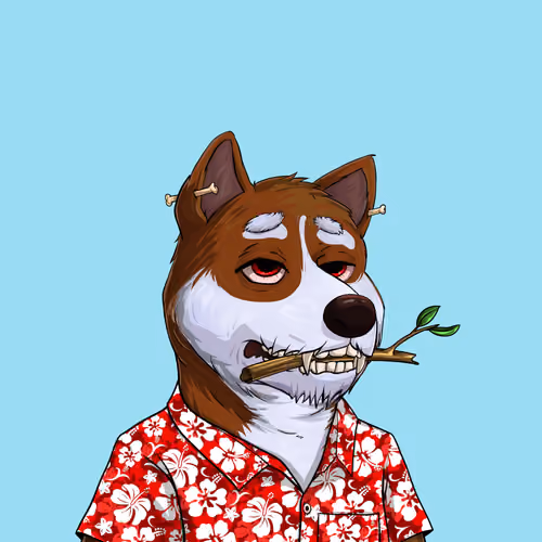 Shibe #209