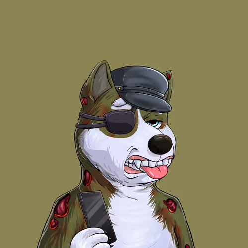 Shibe #56
