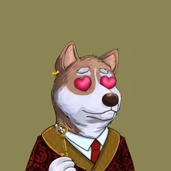 Shibe #37