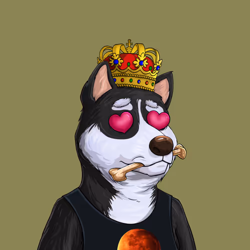 Shibe #78