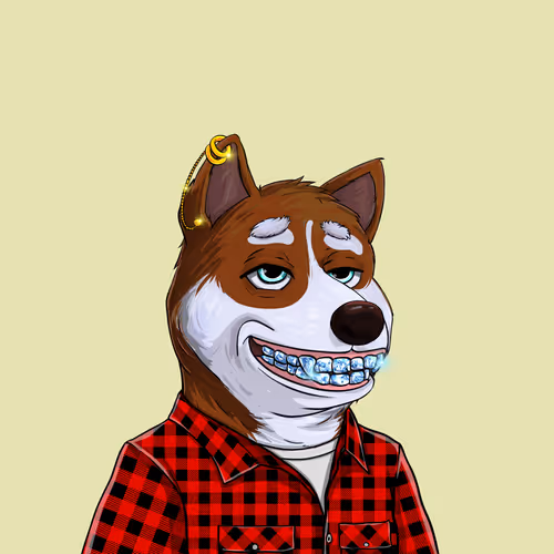 Shibesociety