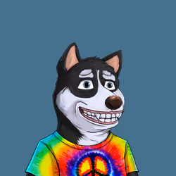 Shibe #27