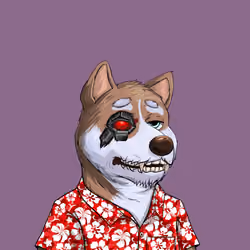 Shibe #901