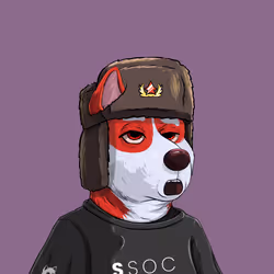 Shibe #1031