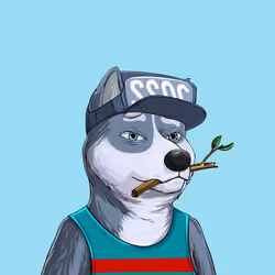 Shibe #967