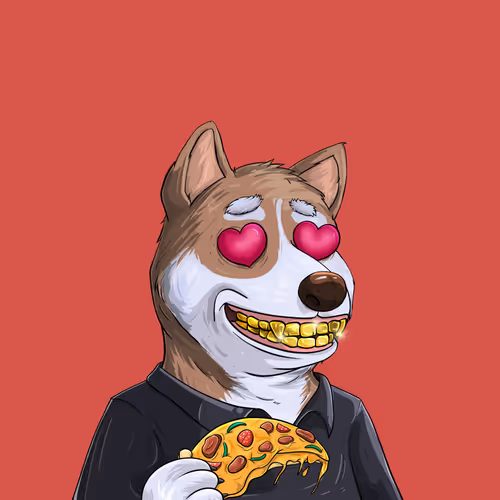 Shibe #54