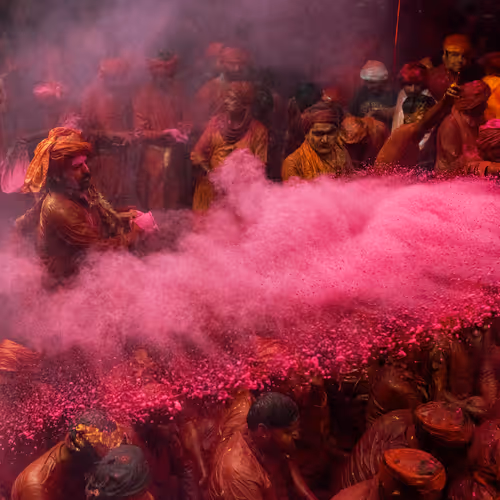 The Colour Splash