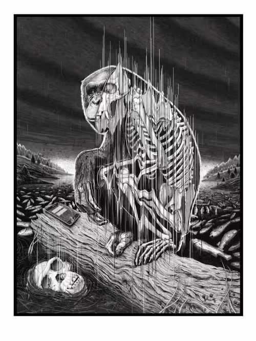 Item #115000200026 Media