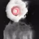 33