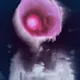 84