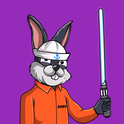 Notorious Rabbit #384