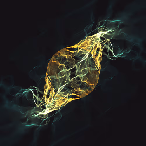 Fusion By Hideki Tsukamoto