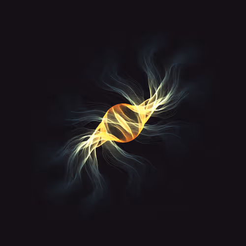 Fusion By Hideki Tsukamoto