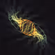 786