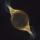 828