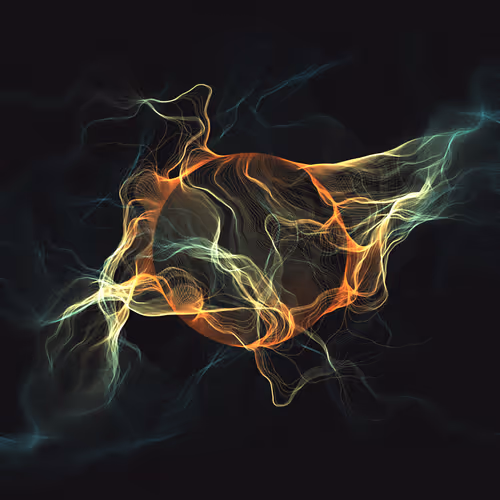 Fusion By Hideki Tsukamoto