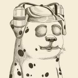 D.O.G.E #293