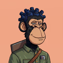 Stash Apes #1077