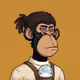 Stash Apes #521