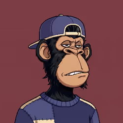Stash Apes #1255