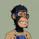 Stash Apes #233