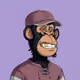 Stash Apes #1826