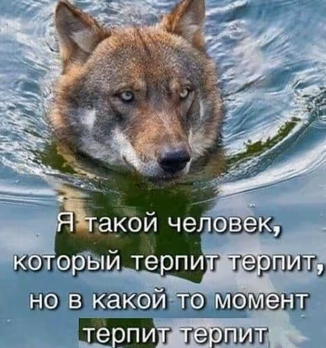 Просто проверка
