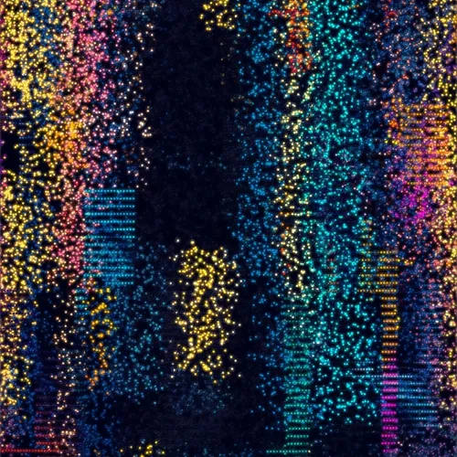 Harmony of Chaos #4
