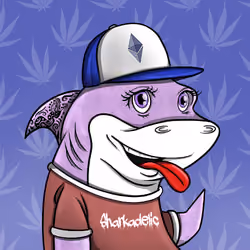 Stoner Shark #31