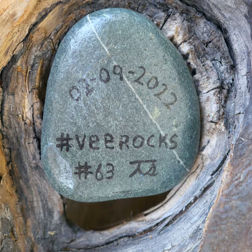 Veerocks