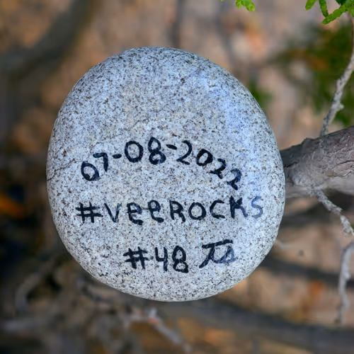 VeeRock #48