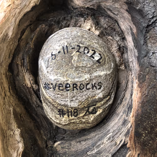 Veerocks