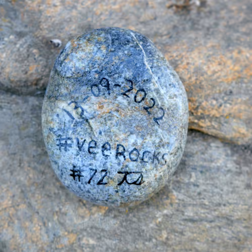 Veerocks