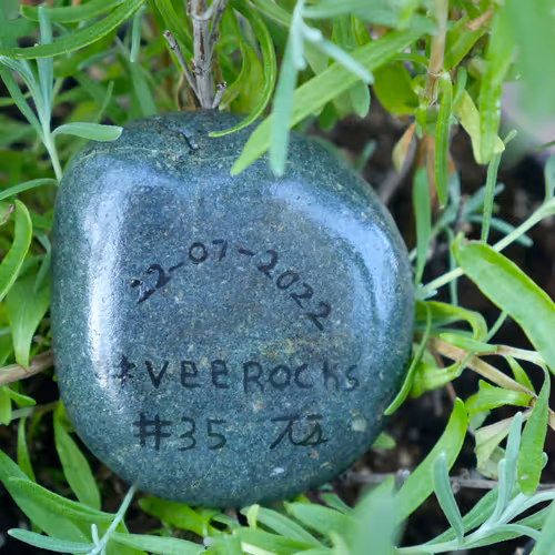 VeeRock #35