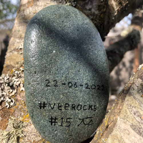 Veerocks