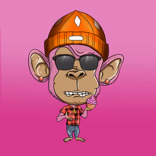 Item #241 Media
