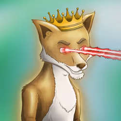 Rich Fox Club #401