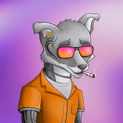 Rich Fox Club #303