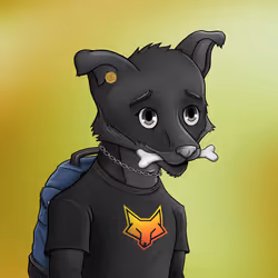 Rich Fox Club #240