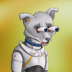 Rich Fox Club #137