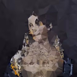 53