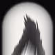 336